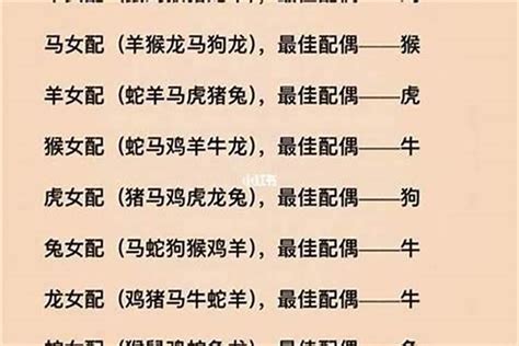 1974 年生肖|74年属什么生肖 1974年属什么生肖配对